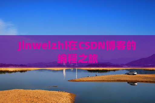Jinweizhi在CSDN博客的编程之旅